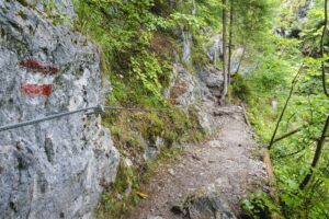 Diese Seilsicherung brauchts nicht unbedingt, aber sie sieht schon sehr alpin aus