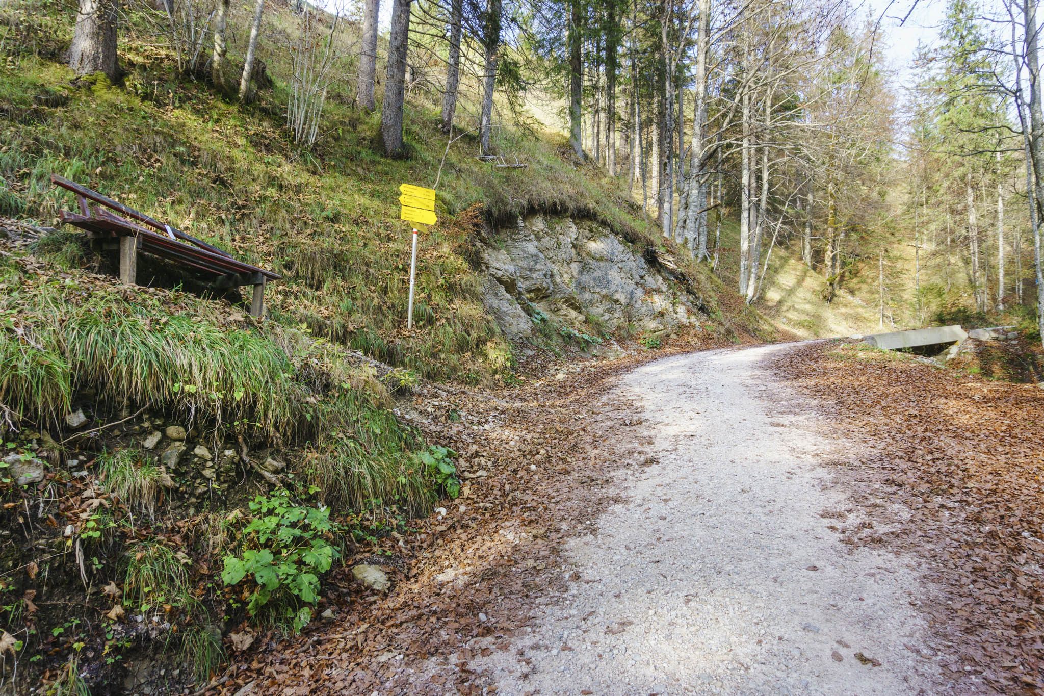 Der Abzweig von der Forststraße auf den Steig