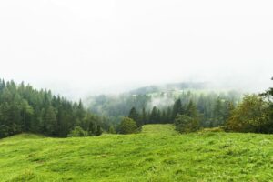 Da irgendwo wäre die Hohe Salve. Wir glauben es einfach