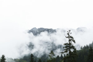 Ein Blick in Richtung Scheffauer, der sich heute kaum zeigt