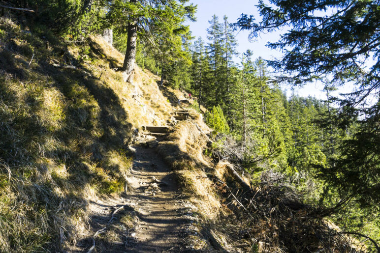 Auf dem Weg von der Eckenhütte auf den Wank