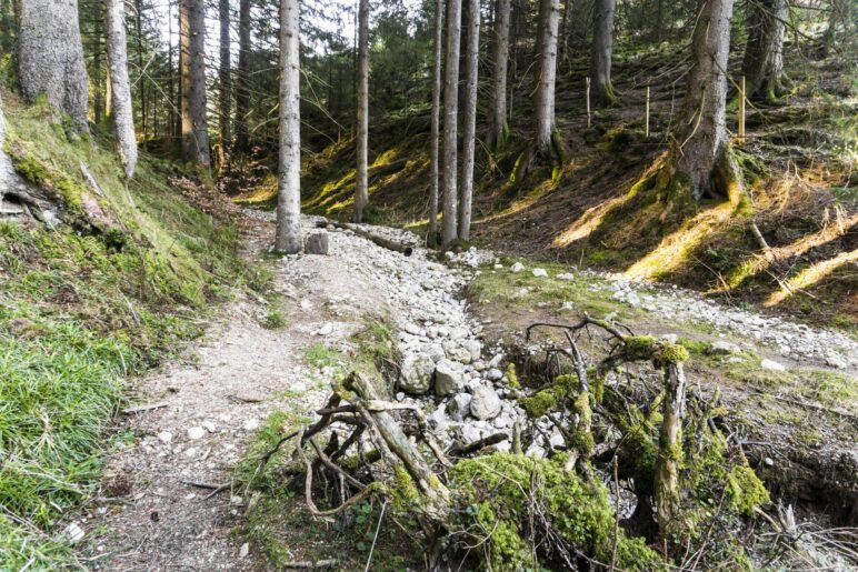 Hier kann man den Bach queren, um zum Überstieg über den Weidezaun zu kommen