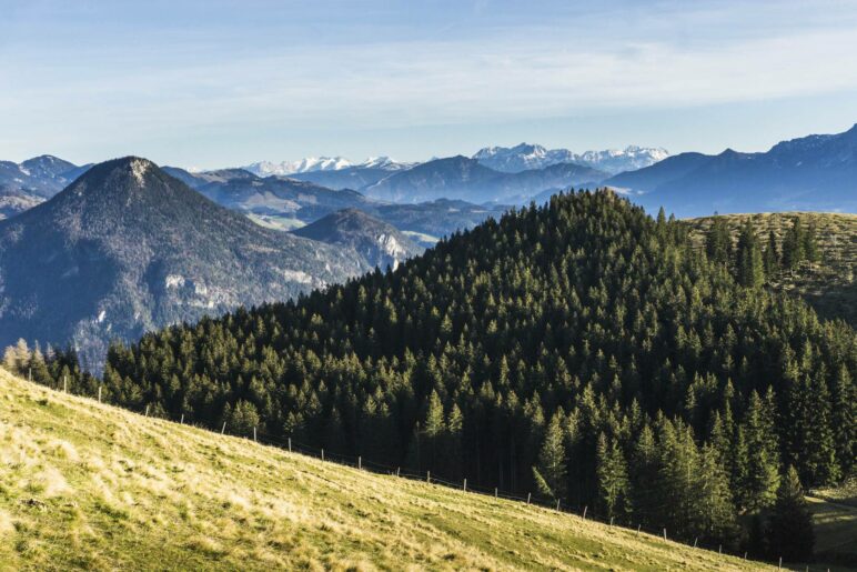 Von der Almwiese unterhalb des Riesenkopfs haben wir den besten Alpenblick