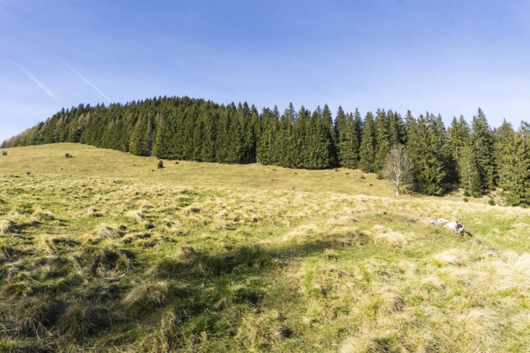 Der Große Riesenkopf, aus dieser Perspektive sieht er völlig harmlos aus