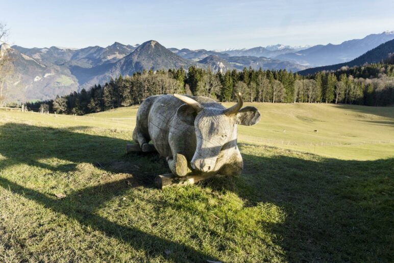 Von der Kuh-Bank vor dem Berggasthaus Hohe Asten haben wir einen schönen Bergblick in Richtung Kaisergebirge