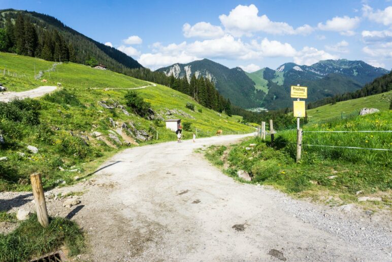 Am Beginn des Abstiegsweges von der Unteren Firstalm zum Spitzingsee