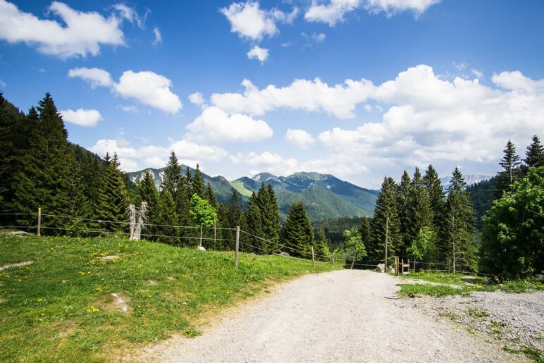 Der Ausblick von der Oberen Firstalm auf Rotwand, Hochmiesing und Co.