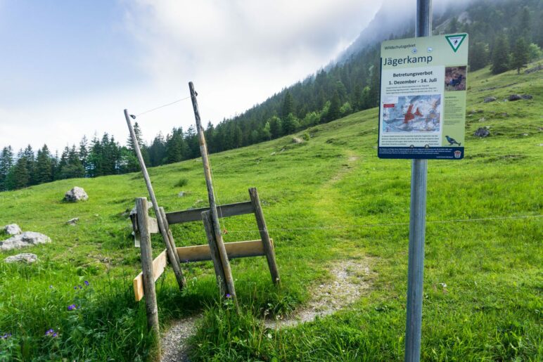 Direkt am Spitzingsattel beginnt die Wanderung an diesem Weidezaundurchgang