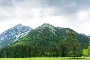 Der 1562 Meter hohe Feilkopf ist neben dem Falzturnkopf nur ein Berg-Zwerg, aber unser Tagesziel