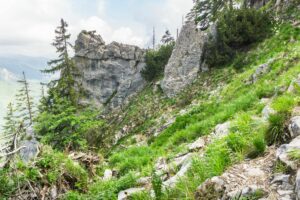 Einen flach aufgestelleten Felsriegel queren wir oberhalb