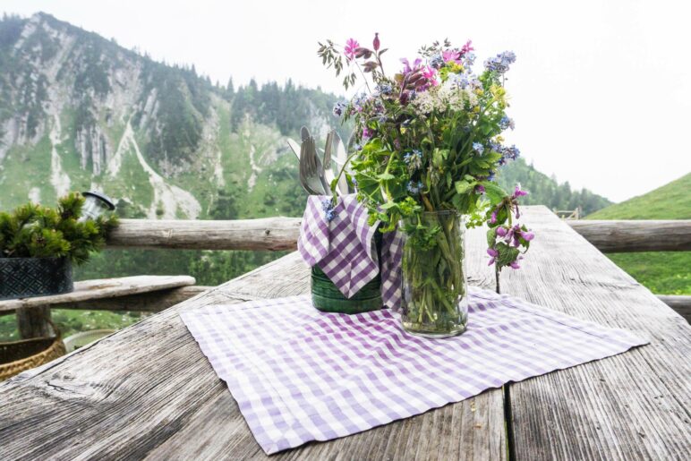 Wildblumenschmuck auf der Jägerbauernalm