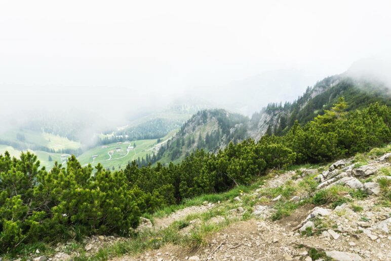 Aussicht hinunter auf die Schönfeldalmen, das nächste Ziel