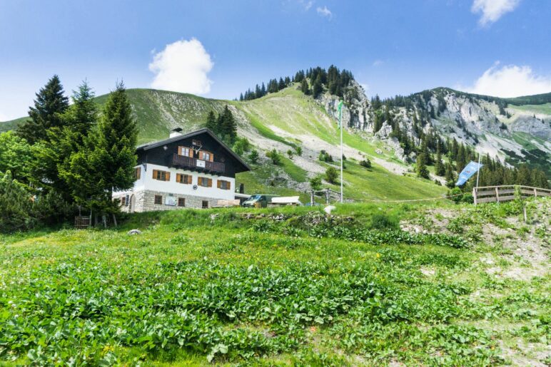 Die Schönfeldhütte liegt direkt neben den Schönfeldalmen