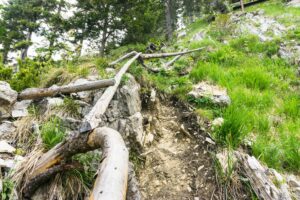 Direkt dahinter geht es auf erdigem Steig steil bergauf, aber mit einem Geländer gesichert