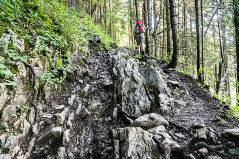 Über Wurzeln und Steine führt der Abstiegsweg durch den Wald