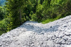 Das Schotterfeld unmittelbar vor dem Wald