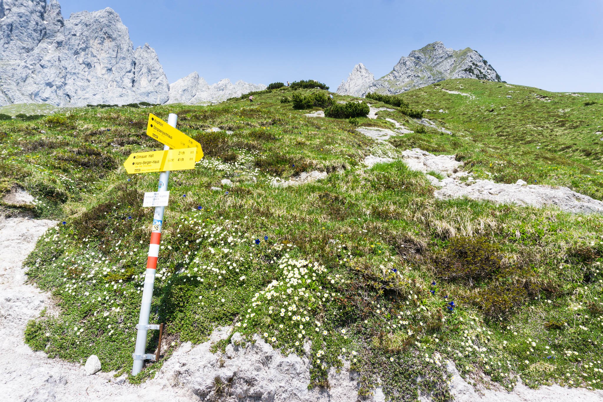 Am Wegweiser halten wir uns leicht rechts, um zur Gruttenhöhe zu wandern