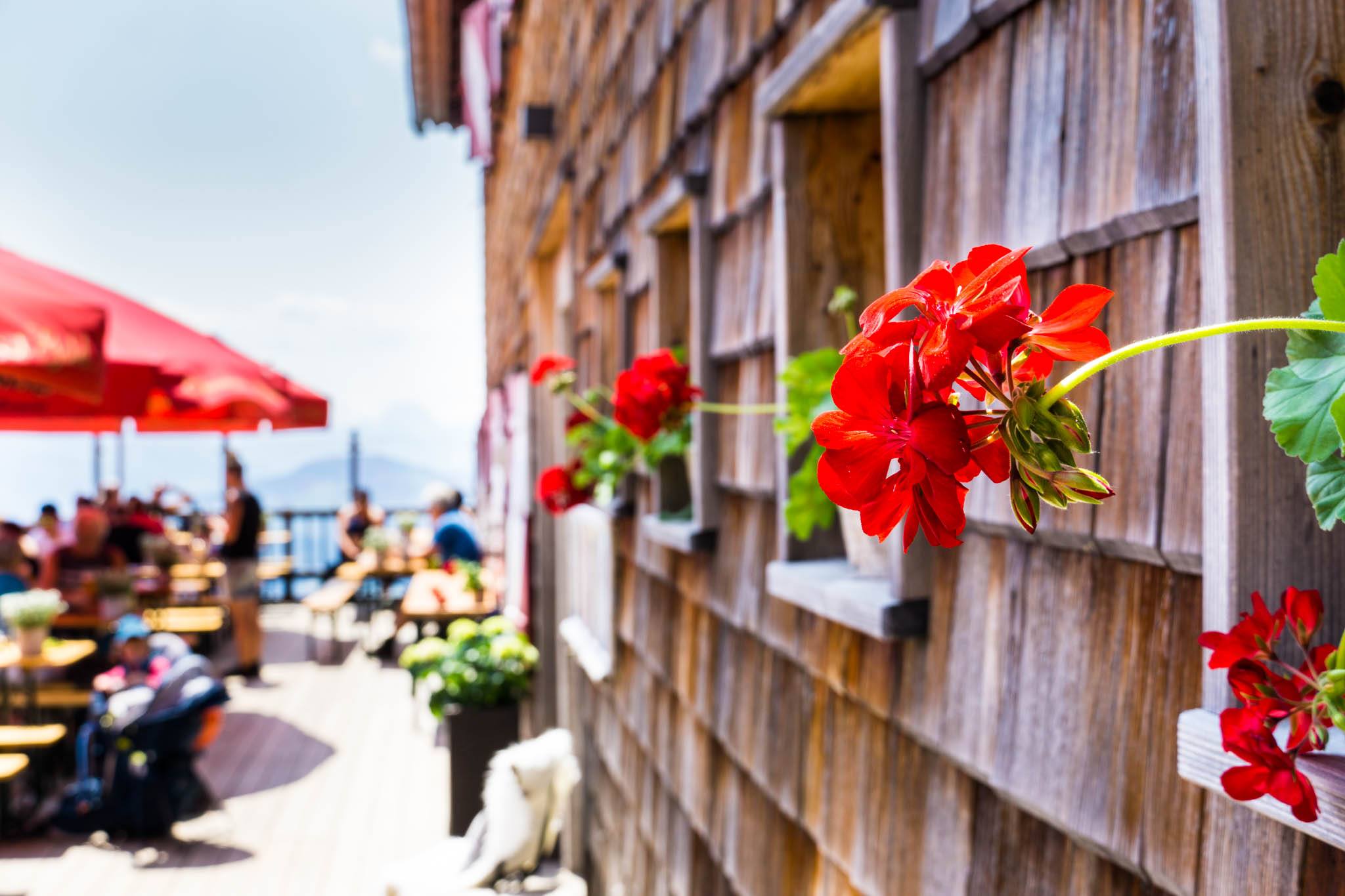 Auf der Terrasse der Gruttenhütte