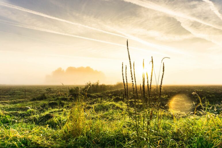 Herbstmorgen im Schwabener Moos