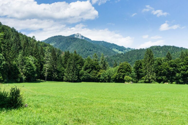 Ein Ausblick auf den Brünnstein