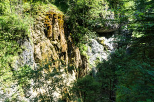 Moose und herabfließendes Wasser verfärben die Felsen