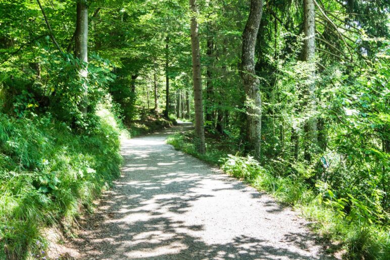 Auf dem breiten Rundweg um den Hechtsee