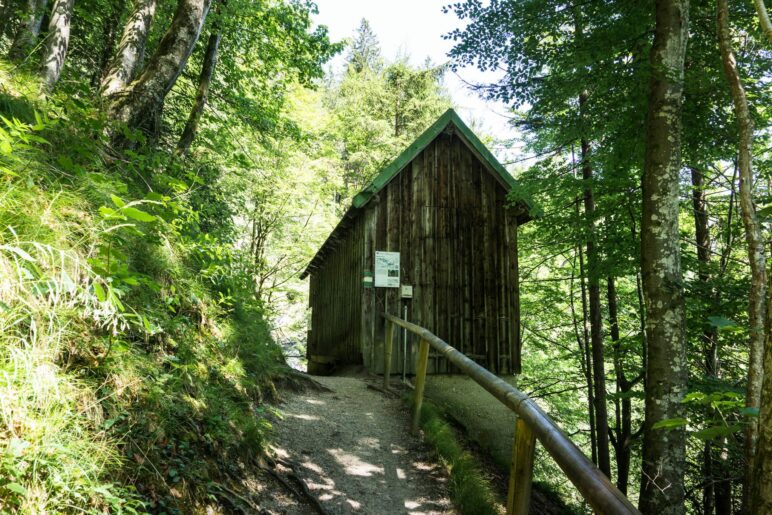 Das Wasserschloss Gießenbachklamm