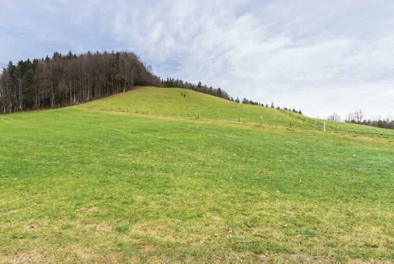 Über den Wiesenweg könnten wir direkt zur Hainzenhöhe hochgehen