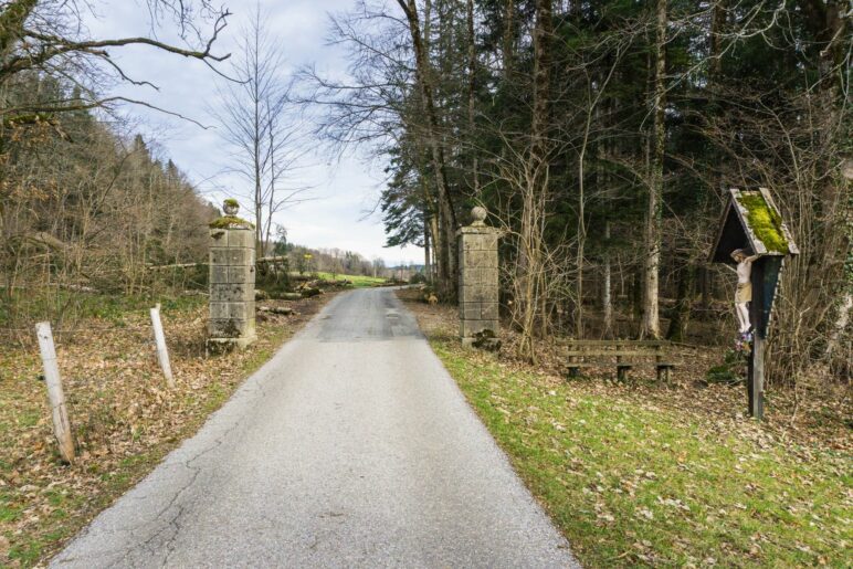 Kurz hinter den Torpfosten biegen wir nach links in den Wald