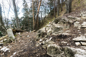 Am Abzweig zum Gipfelsteig: Ein alter Grenzstein