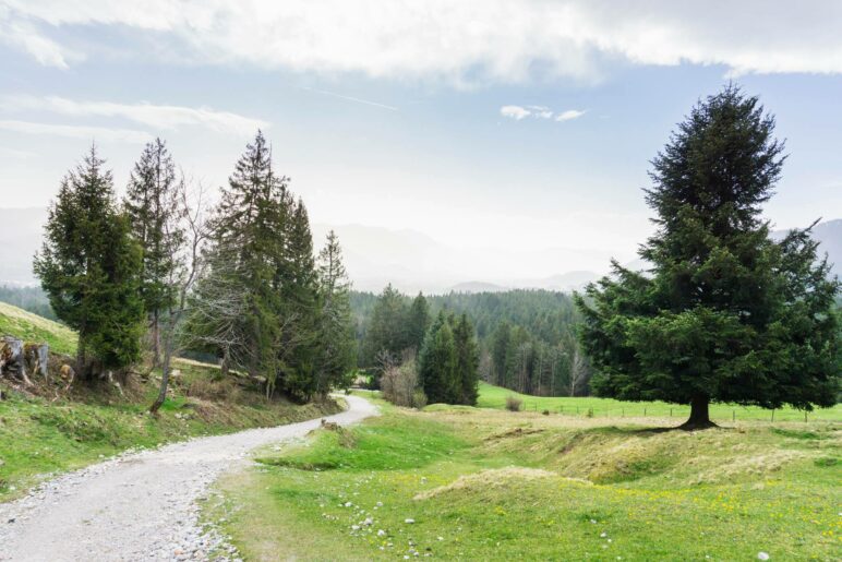 Blick zurück, etwas oberhalb der Baun-ALm