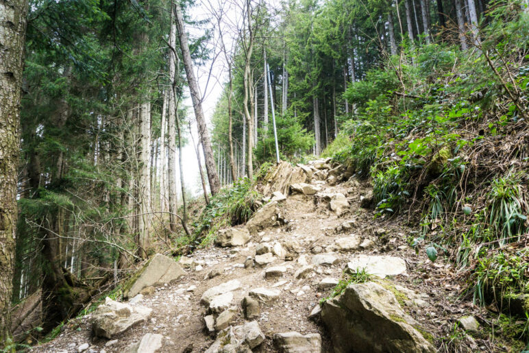 Ziemlich steiniger Weg