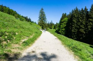 Zu Beginn wandern wir auf einem breiten Wanderweg zwischen Wiesen