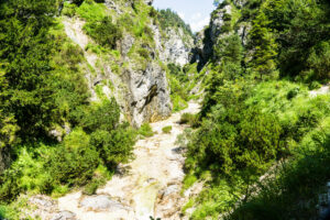 Auf dem Rückweg: Ein weiter Blick durch die grüne Aschauer Klamm