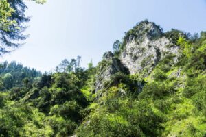 Ein Blick aus der Aschauer Klamm und ihre grünen Uferbereiche