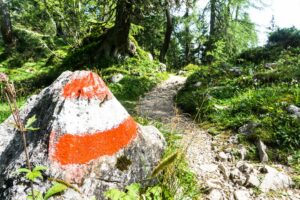 Wegmarkierung im Zauberwald