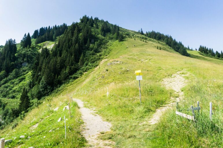 Links der Weg zum Risserkogel, wir nehmen den Weg rechts bergauf zum Setzberg