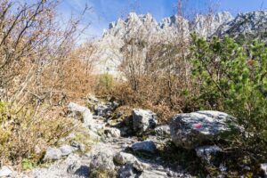 Ab durch die Büsche. Der Weg wird jetzt etwas steiniger