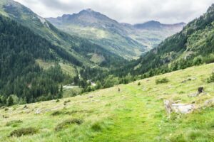 Dann führt der Weg über Wiesenflächen