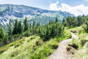 Nur noch leicht abfallend geht es weiter zum Sattel, vor uns steht das Stanser Joch