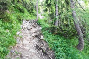 Ein schöner, felsiger Bergsteig im Wald