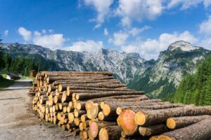 Die Ausblicke auf die umliegenden Berge sind aber schon sehr schön