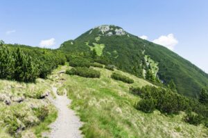 Rückblick zum Bärenkopf