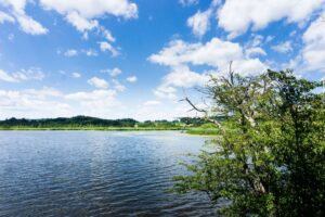 Ziel der Wanderung durch die Maisinger Schlucht ist der Maisinger See