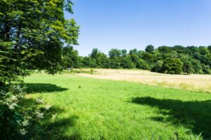 Wandern mal durch den Wald, mal entlang von Wiesen und Feldern