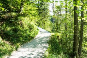 Auf dem breiten Weg steigen wir zum Klammeingang auf