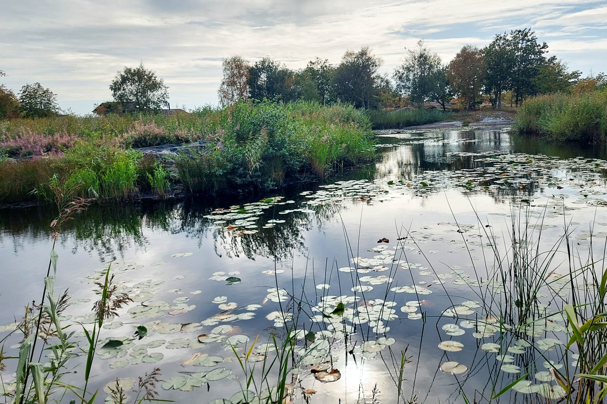 Der See im Norden der Insel Asperö