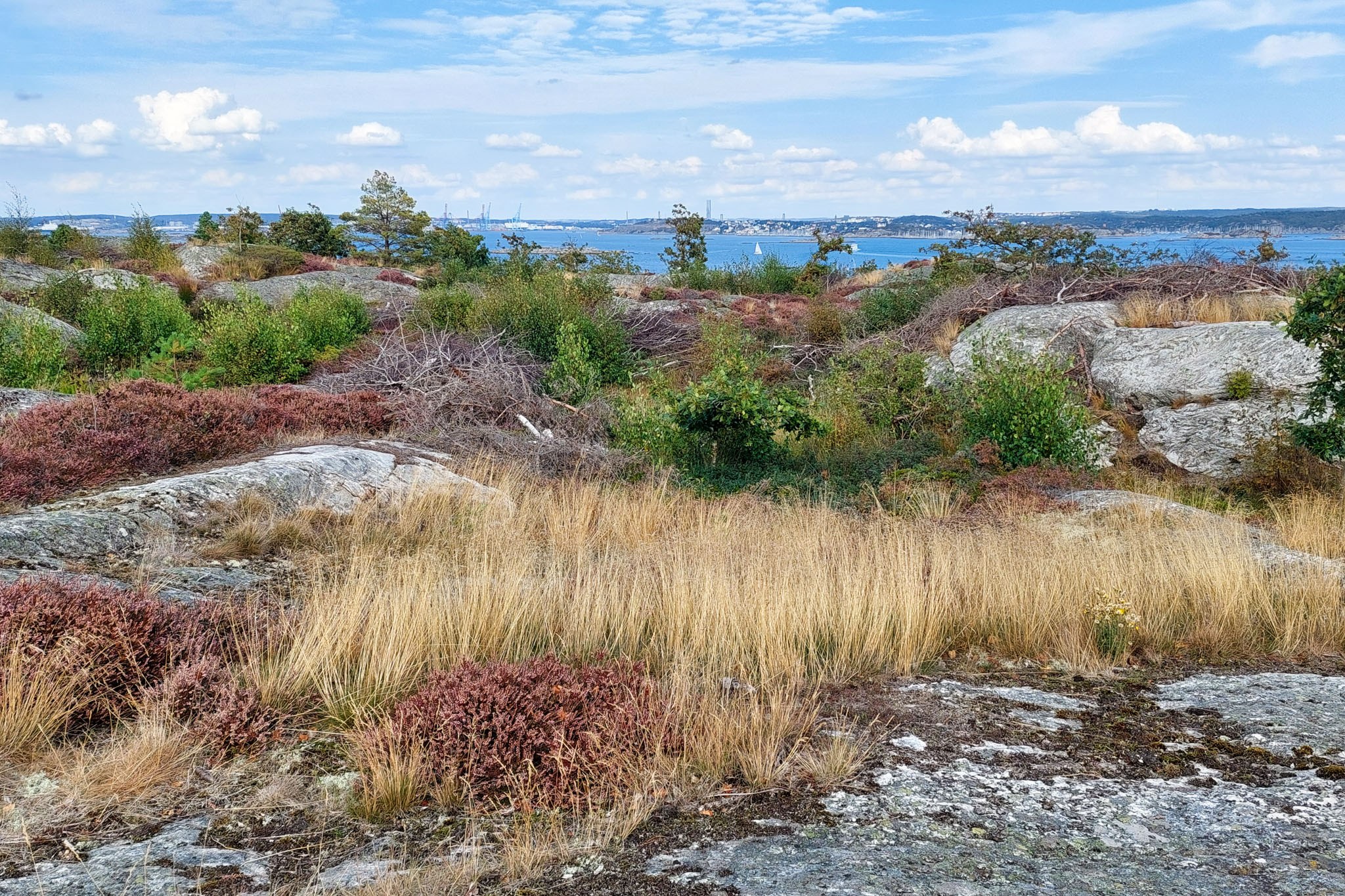 Den ersten Ausssichtspunkt haben wir erreicht