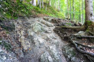 Der Weg ist an manchen Stellen etwas wurzelig und felsig