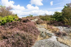 Ein weiteres Wegstück, das über Felsen verläuft